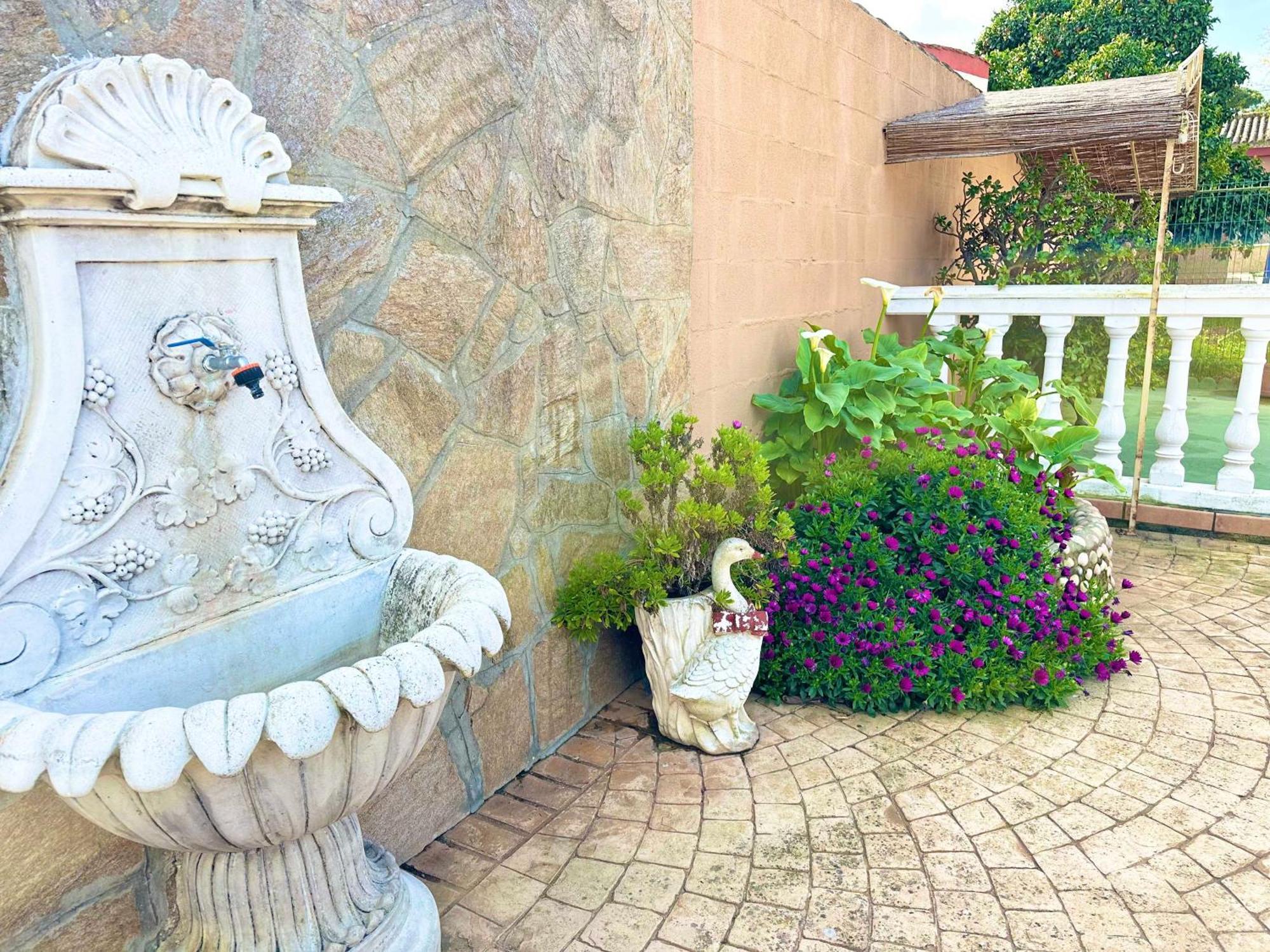 Chalet Aguacate Chiclana de la Frontera Dış mekan fotoğraf