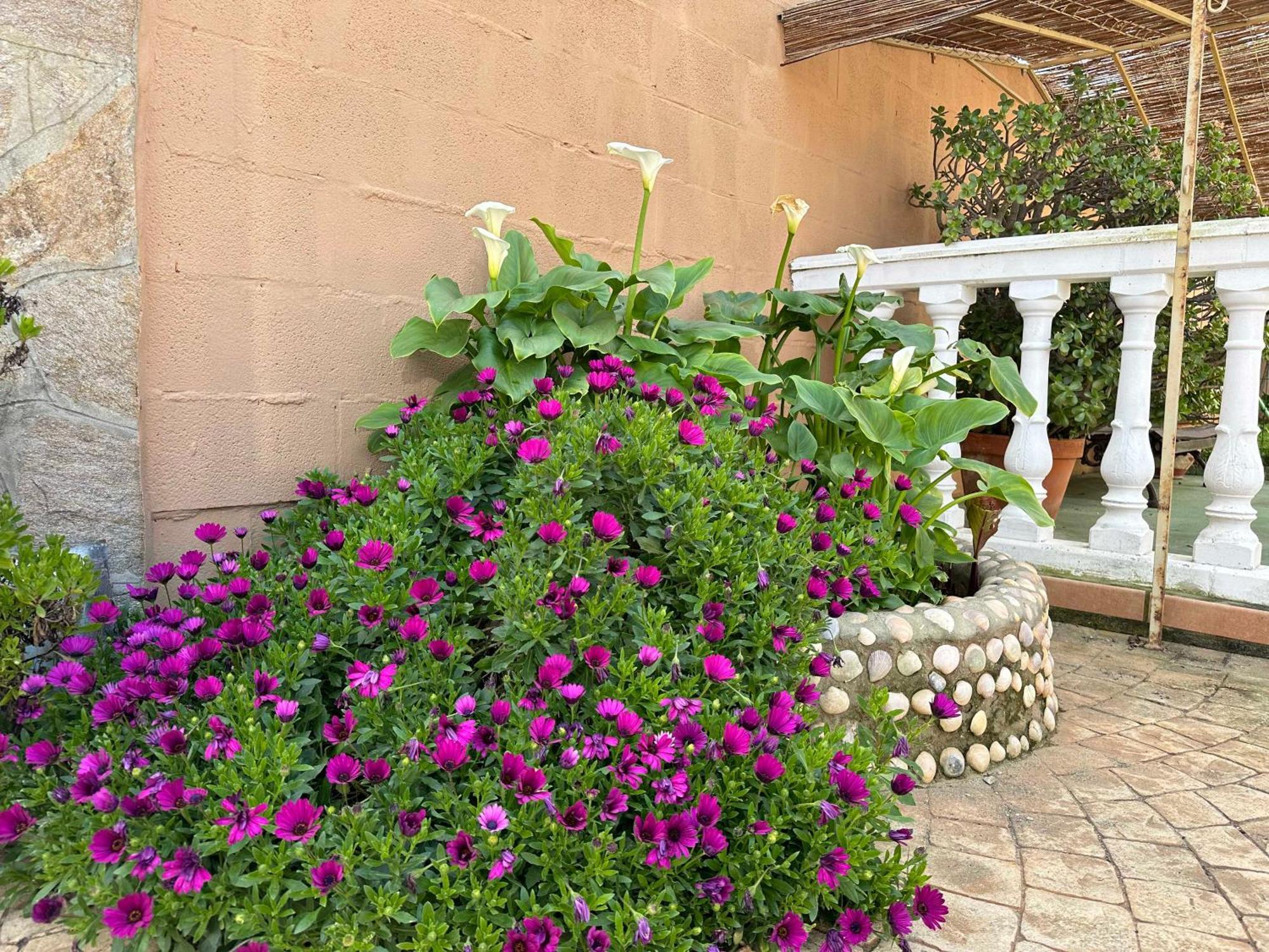 Chalet Aguacate Chiclana de la Frontera Dış mekan fotoğraf